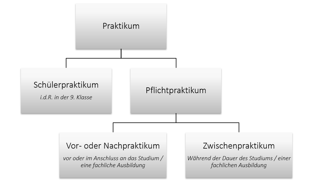 praktika